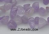 CCH641 15.5 inches 6*8mm - 10*14mm lavender amethyst chips beads