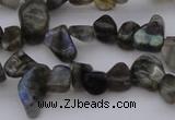 CCH642 15.5 inches 6*8mm - 10*14mm labradorite chips beads