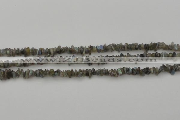 CCH645 15.5 inches 4*6mm - 5*8mm labradorite chips beads