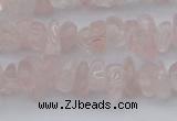 CCH653 15.5 inches 5*8mm - 6*10mm rose quartz chips beads