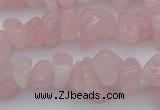 CCH654 15.5 inches 8*12mm - 10*14mm rose quartz chips beads