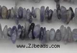 CCH658 15.5 inches 4*6mm - 5*8mm iolite gemstone chips beads