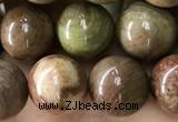 CCJ473 15.5 inches 10mm round rainbow jasper beads wholesale