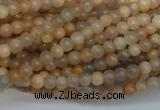 CCS301 15.5 inches 4mm round natural sunstone beads wholesale