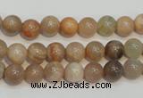 CCS303 15.5 inches 8mm round natural sunstone beads wholesale