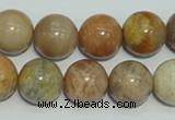 CCS307 15.5 inches 16mm round natural sunstone beads wholesale