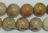 CCS308 15.5 inches 18mm round natural sunstone beads wholesale