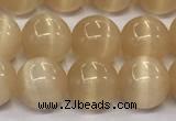 CCT1436 15 inches 8mm, 10mm, 12mm round cats eye beads