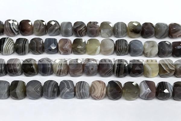 CCU1058 15 inches 8mm faceted cube botswana agate beads