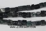 CCU17 15.5 inches 4*4mm cube moss agate beads wholesale