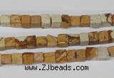 CCU29 15.5 inches 5*5mm cube picture jasper beads wholesale