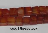 CCU67 15.5 inches 8*8mm cube red agate beads wholesale