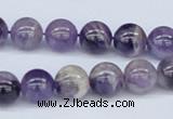 CDA53 15.5 inches 10mm round dogtooth amethyst beads wholesale