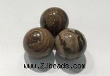 CDN1115 30mm round zebra jasper decorations wholesale