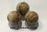 CDN1127 30mm round picture jasper decorations wholesale