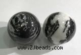 CDN1276 40mm round black & white jasper decorations wholesale