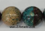 CDS29 15.5 inches 24mm round dyed serpentine jasper beads