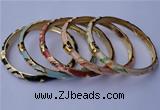 CEB05 5pcs 6mm width gold plated alloy with enamel bangles wholesale