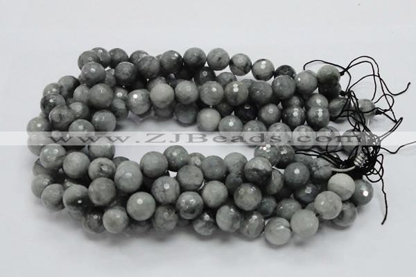 CEE23 15.5 inches 14mm faceted round eagle eye jasper beads wholesale