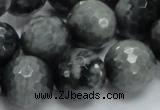 CEE24 15.5 inches 18mm faceted round eagle eye jasper beads wholesale