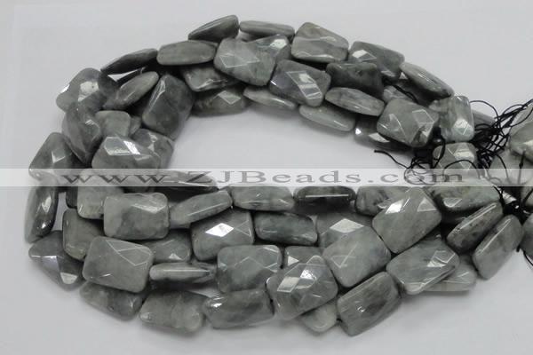 CEE35 15.5 inches 18*25mm faceted rectangle eagle eye jasper beads