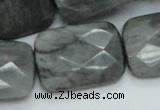CEE36 15.5 inches 22*30mm faceted rectangle eagle eye jasper beads