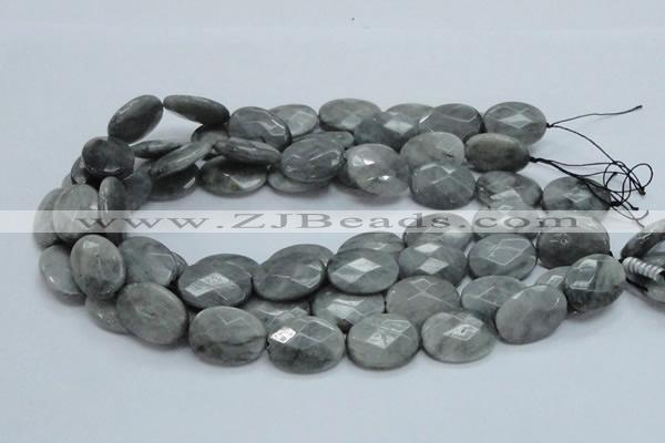 CEE43 15.5 inches 18*25mm faceted oval eagle eye jasper beads