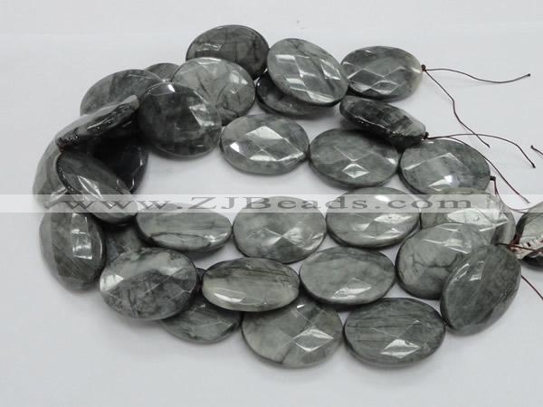 CEE44 15.5 inches 30*40mm faceted oval eagle eye jasper beads