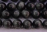 CEE503 15.5 inches 10mm round AAA grade green eagle eye jasper beads