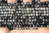 CEE540 15.5 inches 4mm round eagle eye jasper gemstone beads