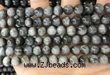 CEE542 15.5 inches 8mm round eagle eye jasper gemstone beads
