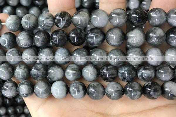 CEE543 15.5 inches 10mm round eagle eye jasper gemstone beads