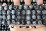 CEE544 15.5 inches 12mm round eagle eye jasper gemstone beads