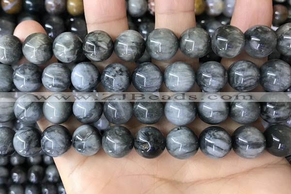 CEE544 15.5 inches 12mm round eagle eye jasper gemstone beads