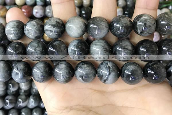 CEE545 15.5 inches 14mm round eagle eye jasper gemstone beads