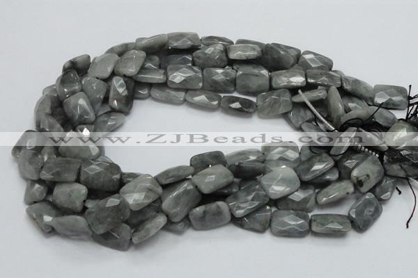 CEE60 15.5 inches 10*14mm faceted rectangle eagle eye jasper beads