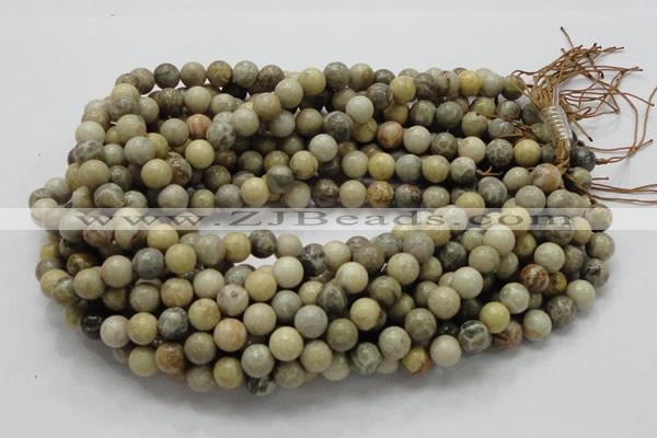 CFA03 15.5 inches 10mm round chrysanthemum agate gemstone beads