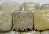 CFA18 15.5 inches 25*25mm square chrysanthemum agate beads