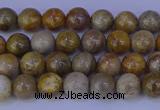 CFC200 15.5 inches 4mm round fossil coral beads wholesale