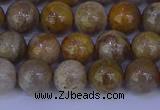 CFC202 15.5 inches 8mm round fossil coral beads wholesale