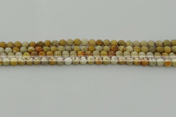 CFC221 15.5 inches 6mm round matte fossil coral beads wholesale