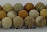 CFC222 15.5 inches 8mm round matte fossil coral beads wholesale