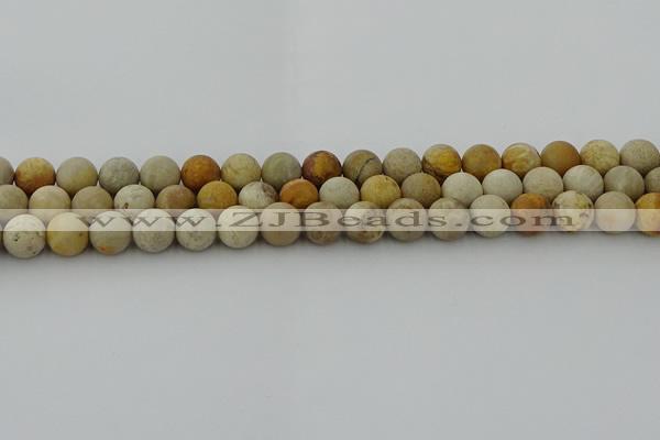 CFC222 15.5 inches 8mm round matte fossil coral beads wholesale
