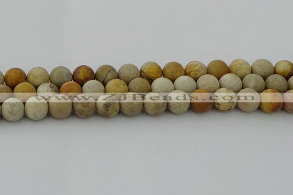 CFC224 15.5 inches 12mm round matte fossil coral beads wholesale