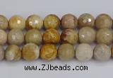 CFC228 15.5 inches 4mm faceted round fossil coral beads