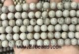 CFC331 15.5 inches 8mm round fossil coral beads wholesale