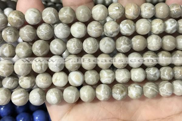 CFC332 15.5 inches 8mm round fossil coral beads wholesale