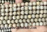 CFC333 15.5 inches 8mm round fossil coral beads wholesale