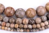 CFC55 15.5 inches round coral fossil jasper beads wholesale