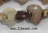 CFG796 12.5 inches 14*18mm carved animal jasper beads